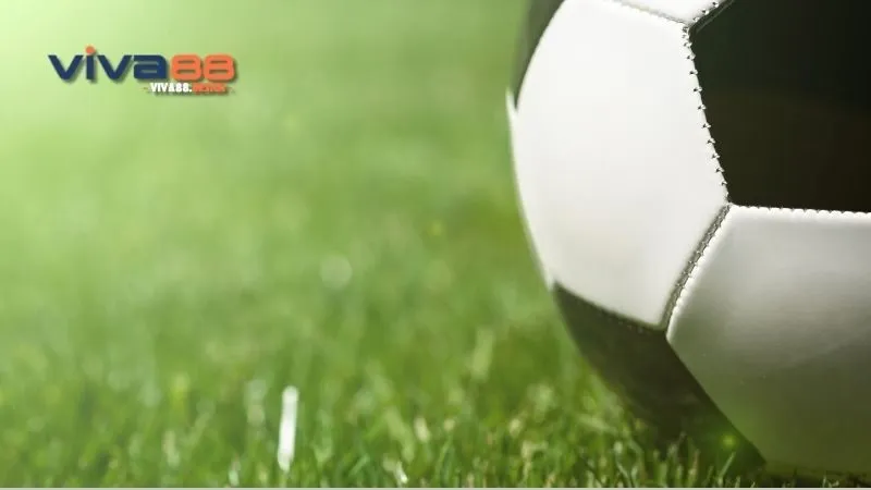 Cá độ bóng đá qua mạng - Khám Phá Thế Giới Đầy Hấp Dẫn 3 ca-do-bong-da-qua-mang-meo-ca-do