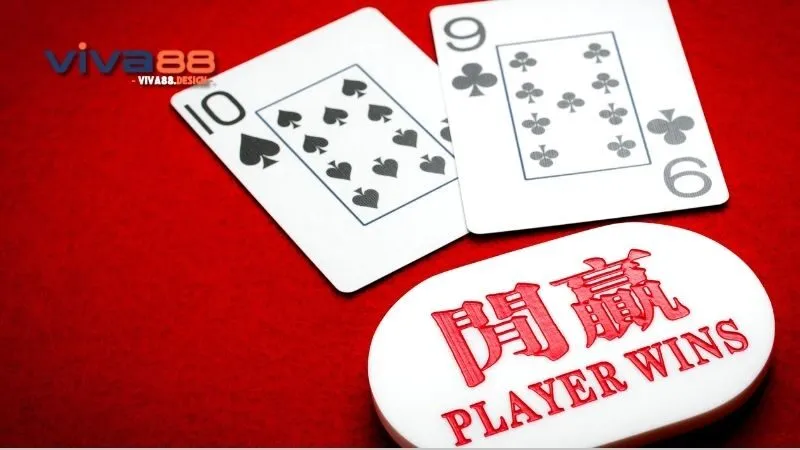 Tại sao chơi Baccarat luôn thua - Khám phá những lý do đằng sau thất bại 4 tai-sao-choi-baccarat-luon-thua-kinh-nghiem